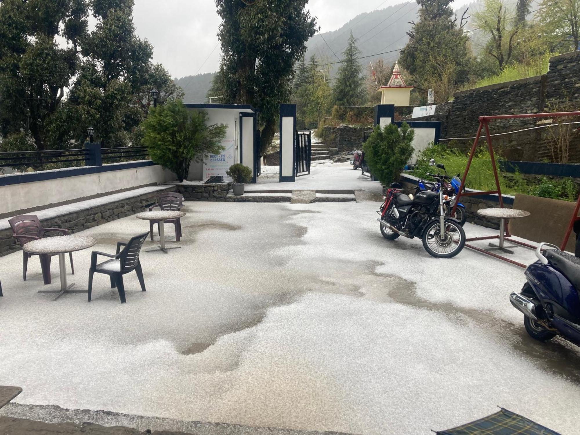 Oasis Guest House Bhagsu D'Shala 达兰萨拉 外观 照片