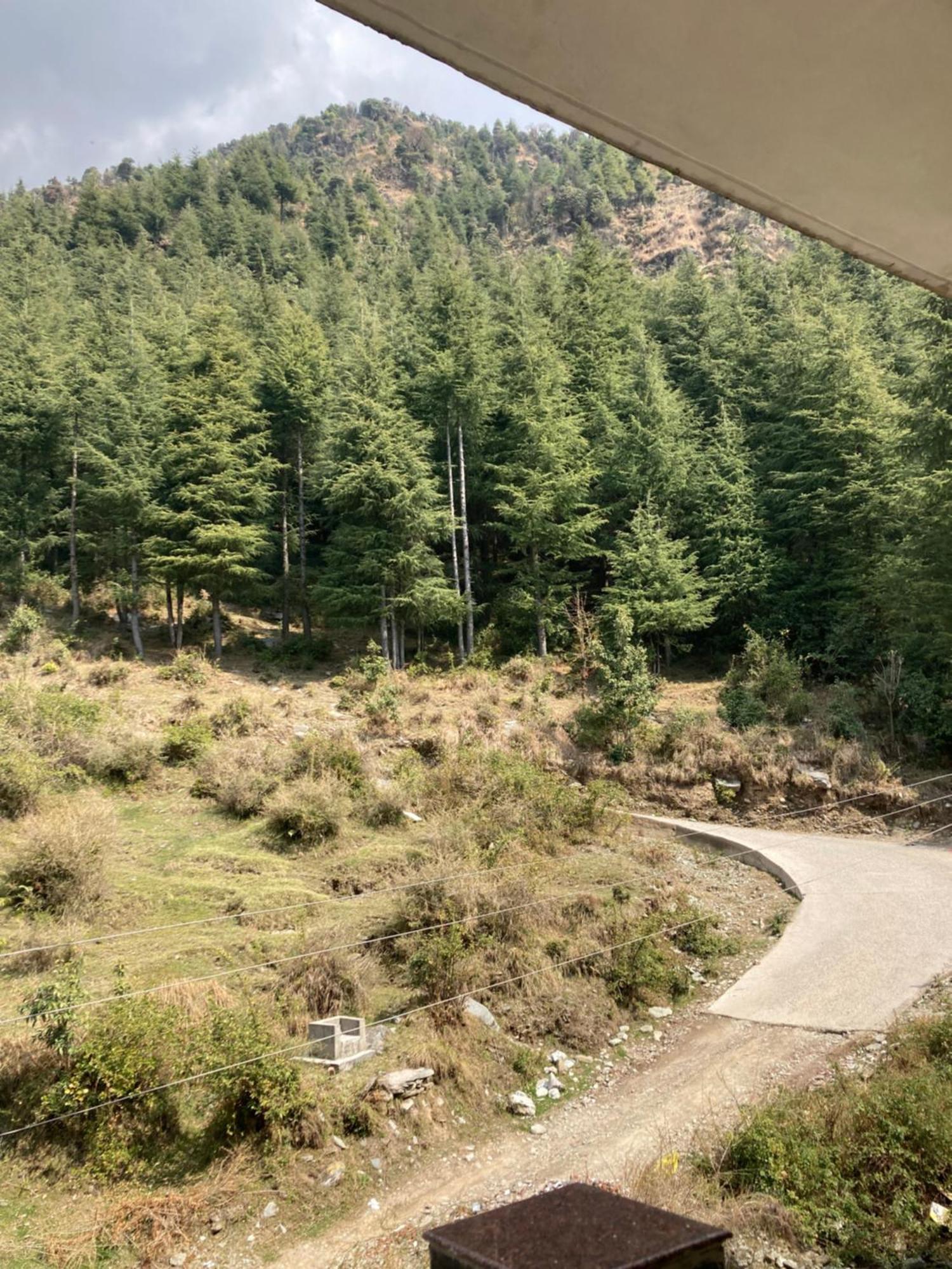 Oasis Guest House Bhagsu D'Shala 达兰萨拉 外观 照片